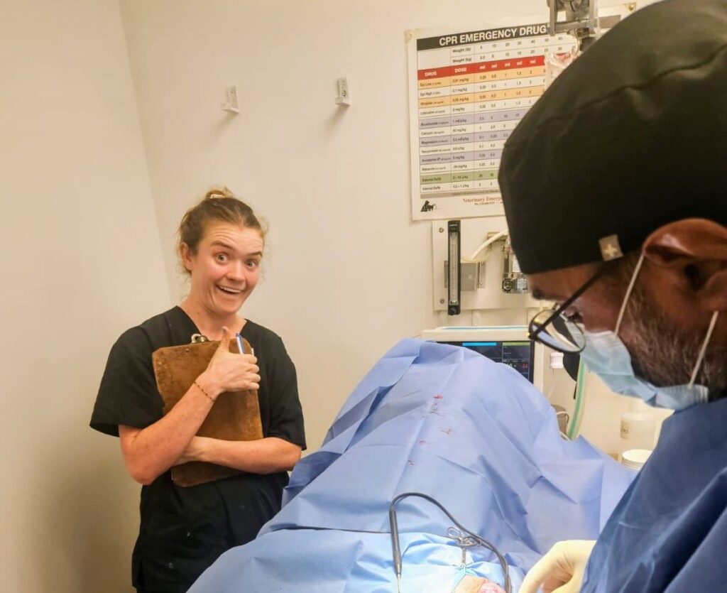 Vet tech assisting surgeon during a surgery